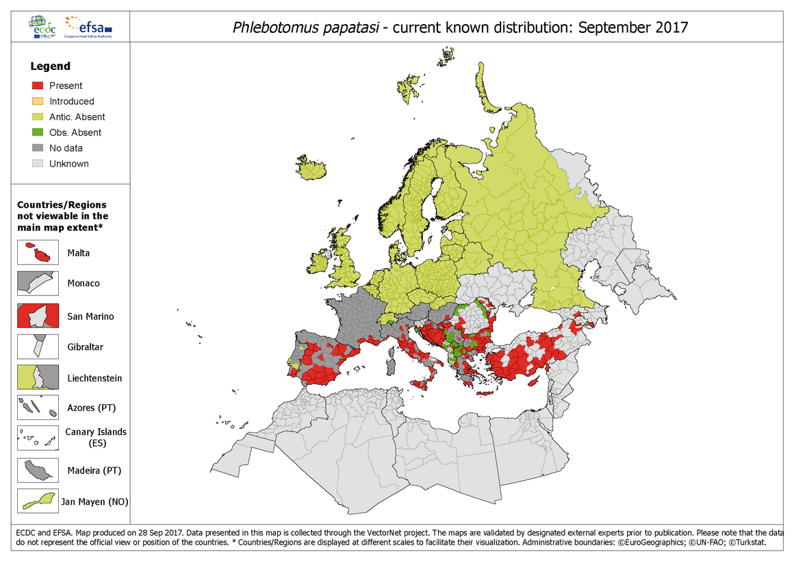 Phlebotomus papatasi current known distribution September 2017
